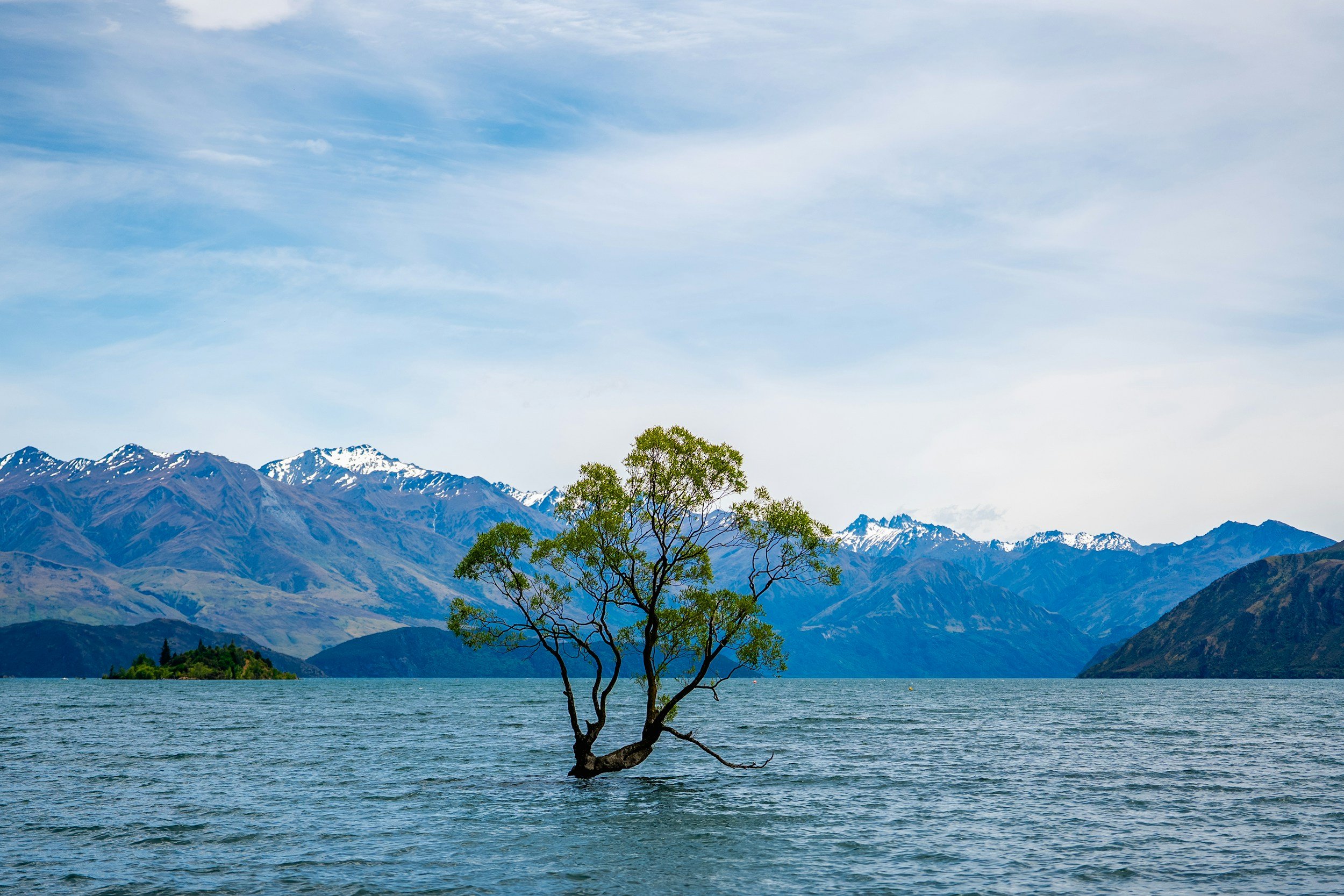 Government move to block climate lawsuits undermines democratic accountability&nbsp;