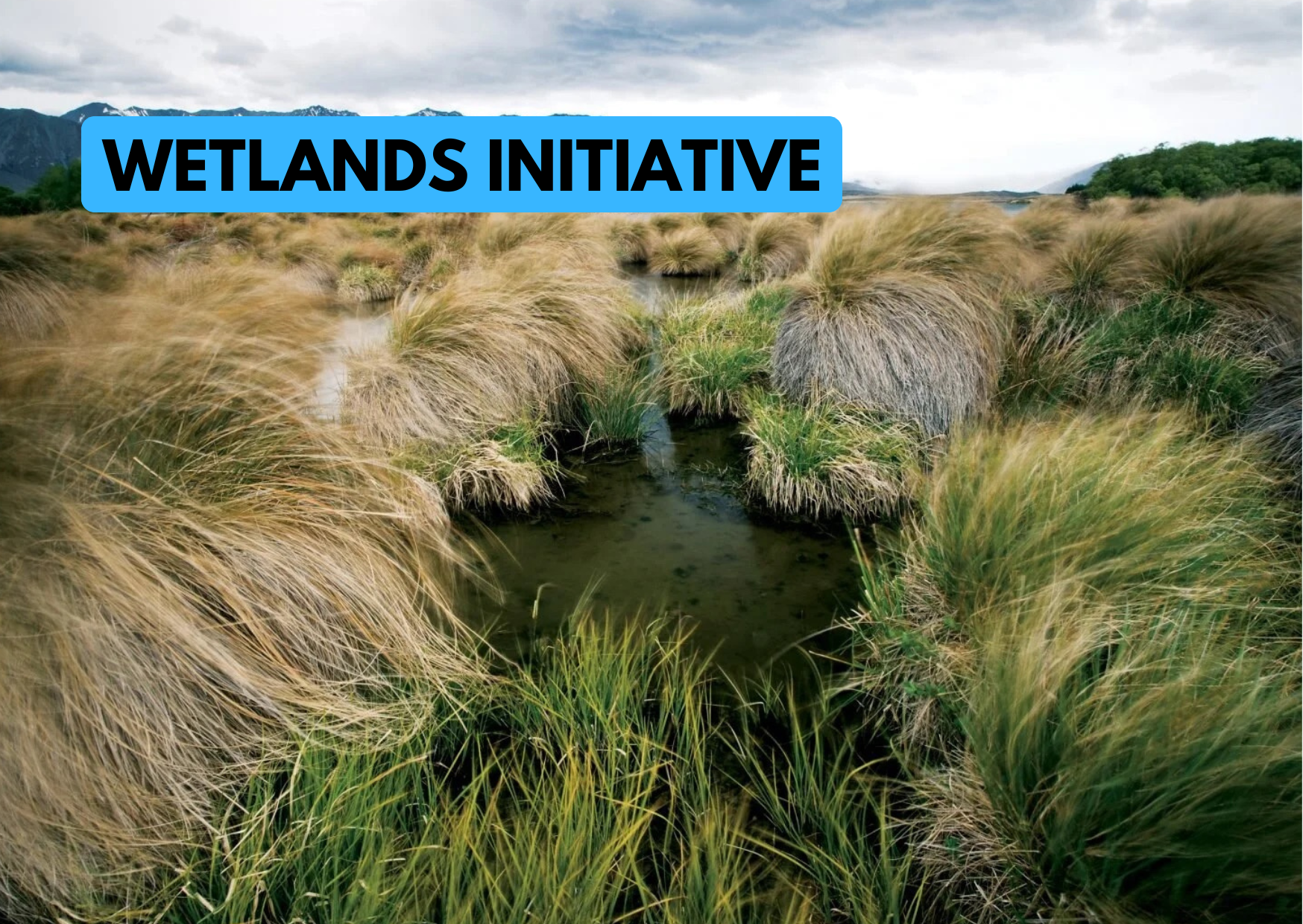 New mapping shows wetland loss continues, with conversion to pasture the leading cause