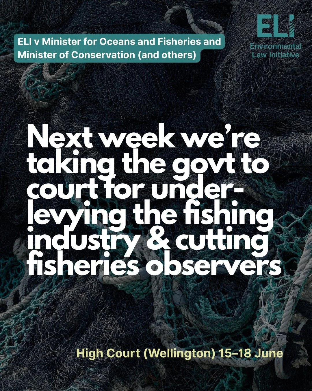 Next week, we are heading to the High Court in Wellington.

From 15&ndash;18 June, the Environmental Law Initiative is challenging the Minister for Oceans and Fisheries and the Minister of Conservation over critical cuts to the fisheries observer pro