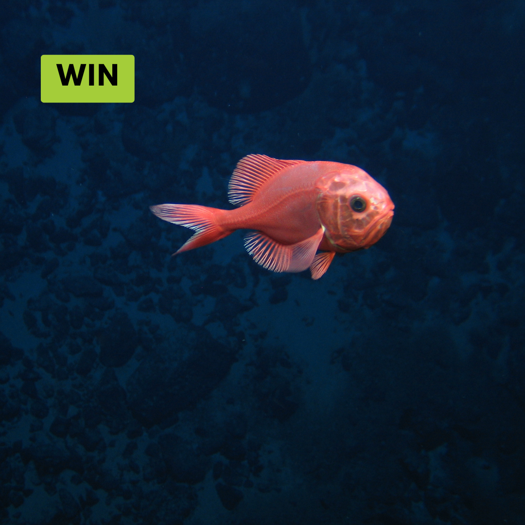 Win: High Court declares orange roughy catch decision unlawful