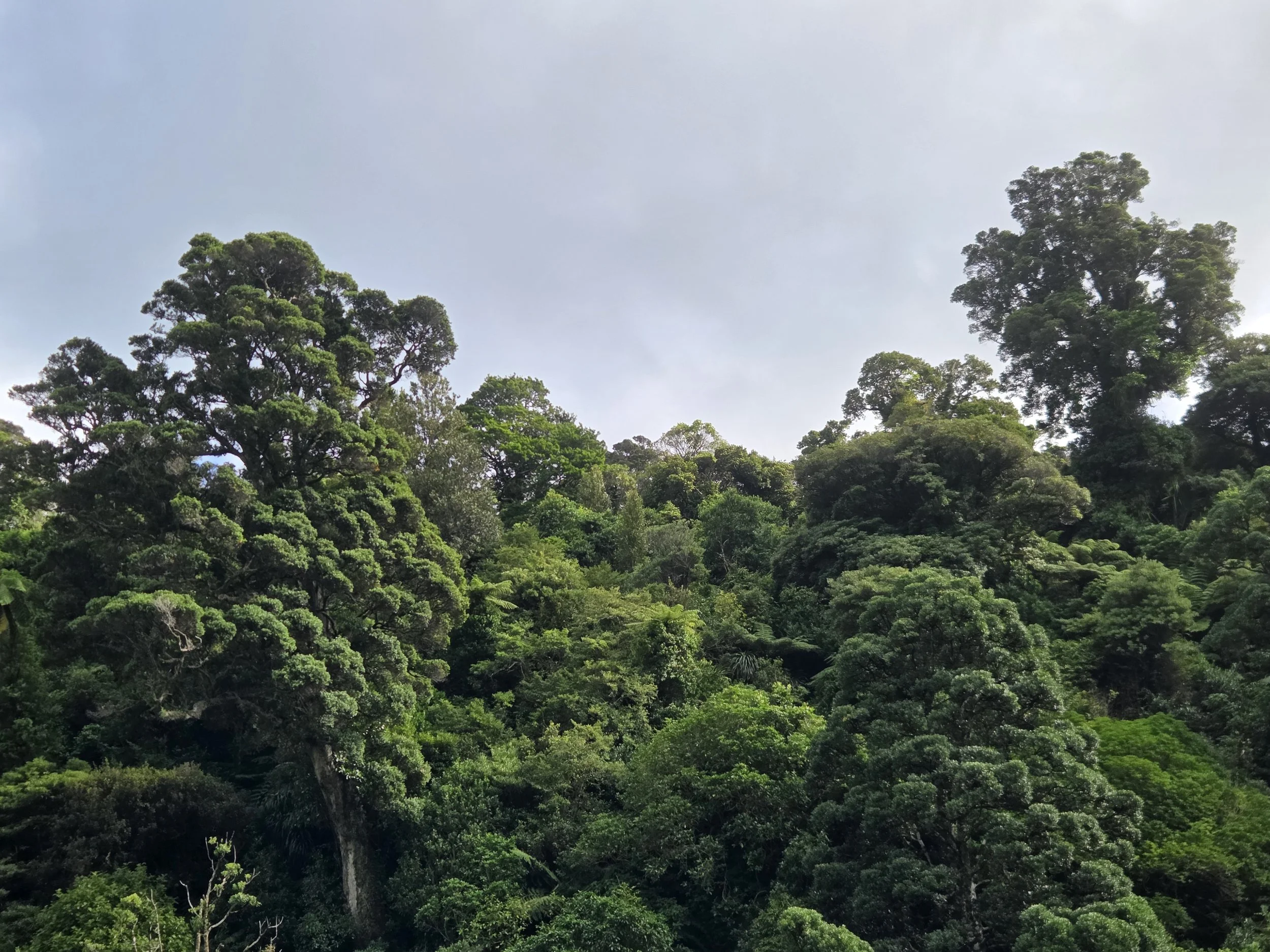 Submission: Conservation Amendment Bill
