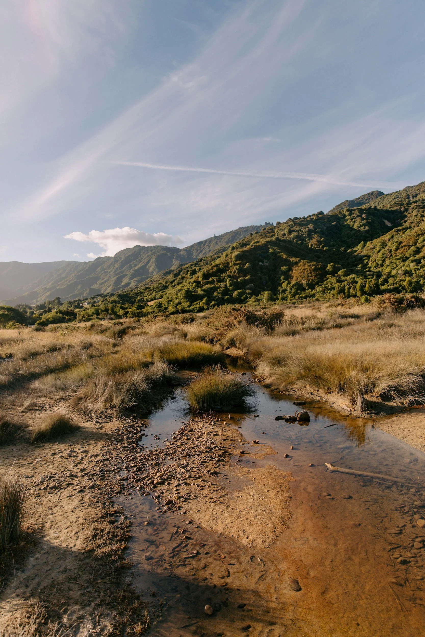 Stronger rules haven’t halted wetland destruction yet, so what must councils do?