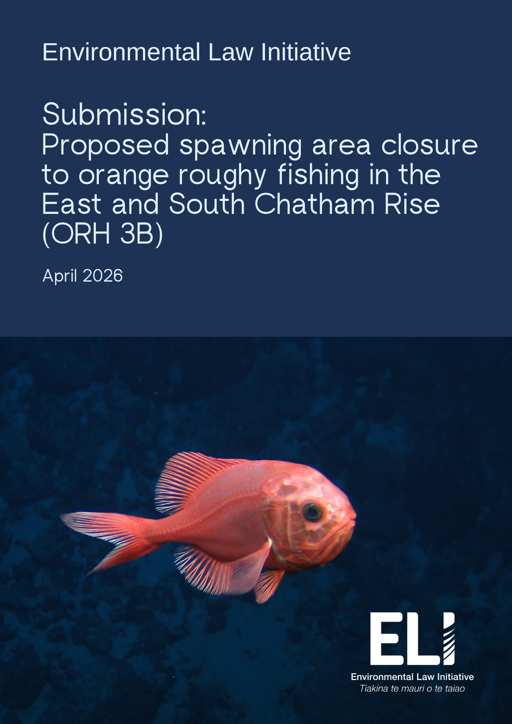 Submission: Proposed spawning area closure to orange roughy fishing in ...