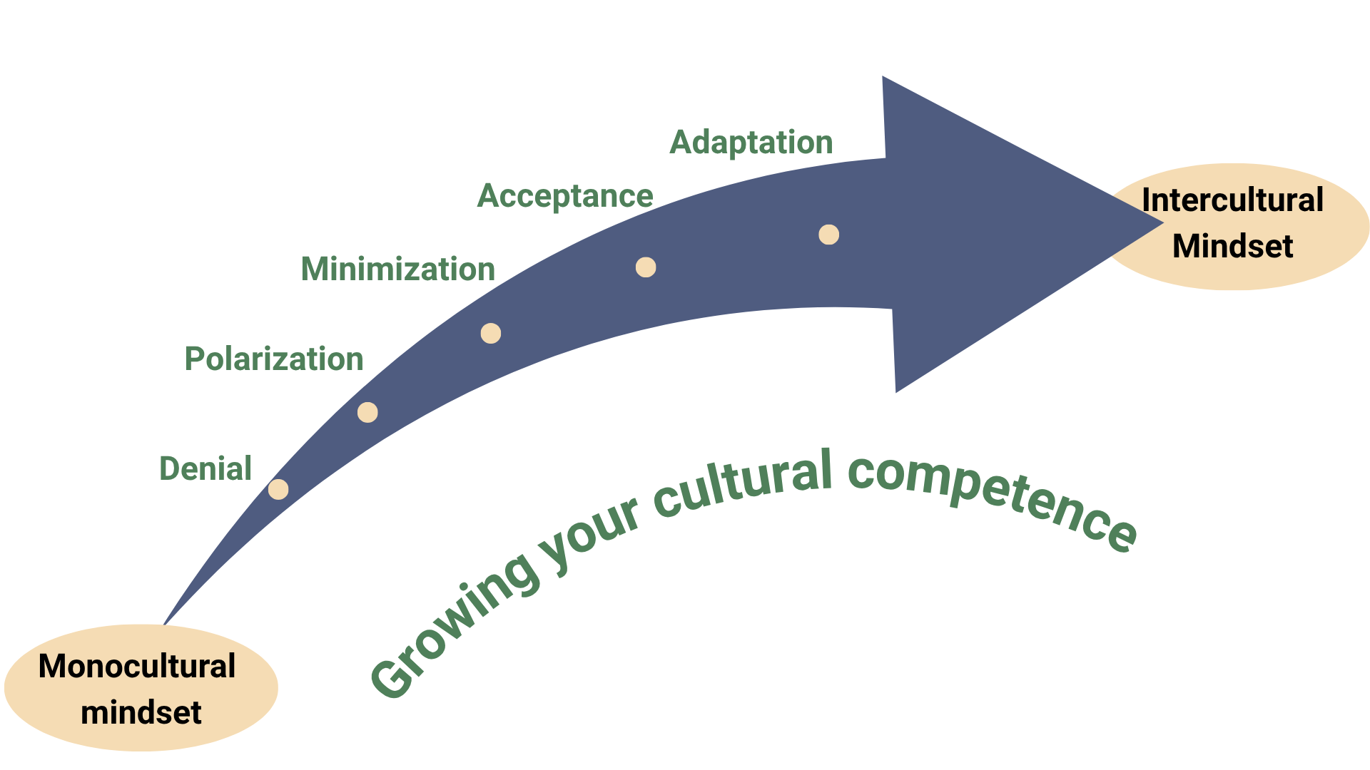 An arrow chart showing seven stages of progression. 1) Monocultural mindset, 2) Denial, 3) Polarization, 4) Minimization, 5) Acceptance, 6) Adaptation, and 7) Intercultural mindset. Text below reads: Growing your cultural competence.