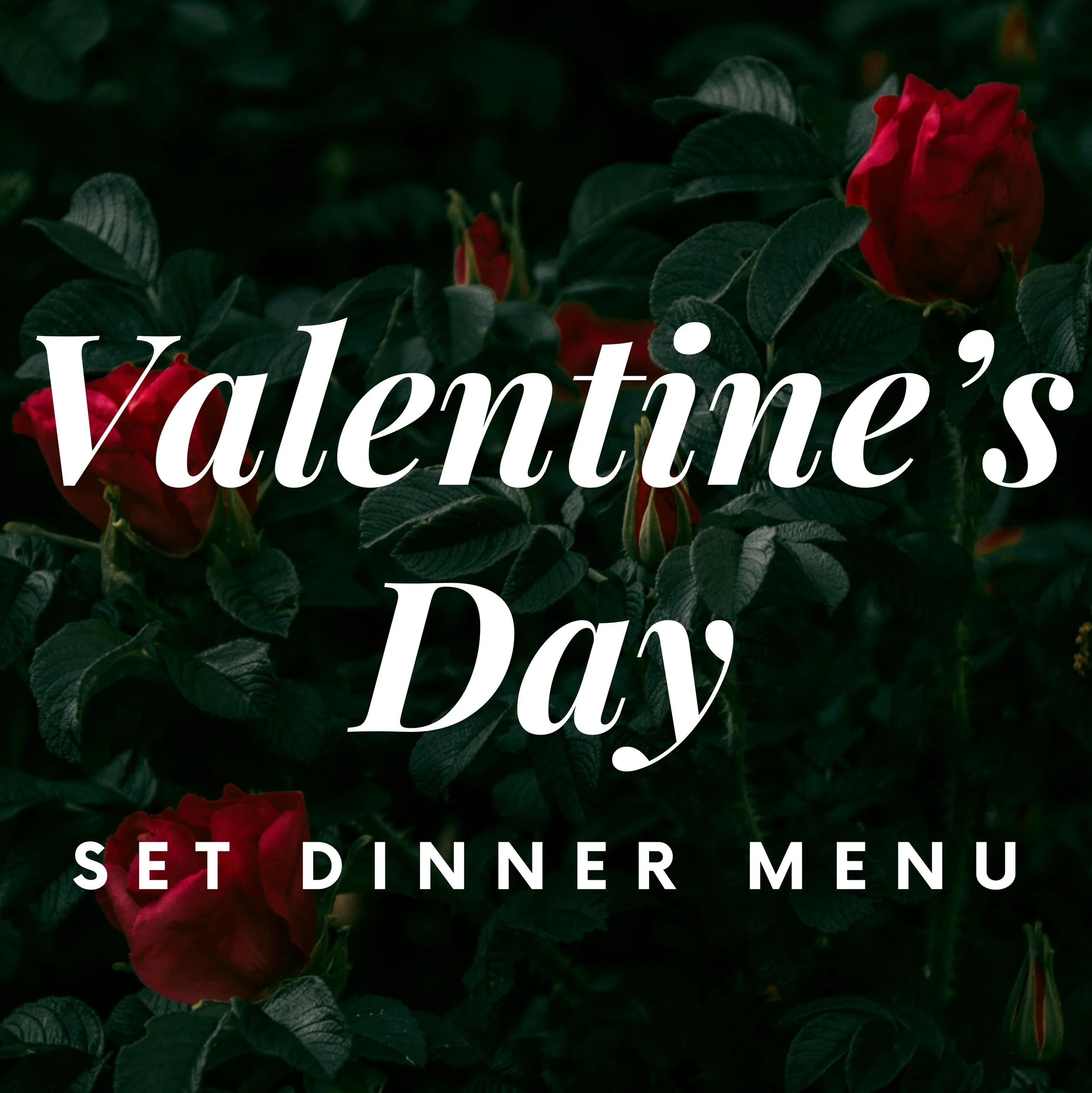 Valentine's day set menu dinner