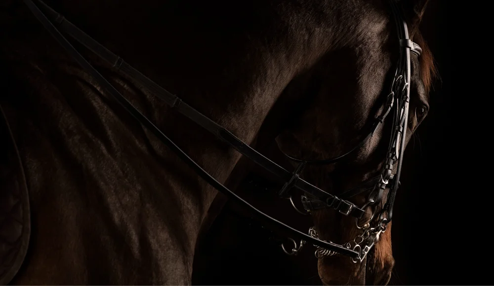 Services — Iron Duke Partners