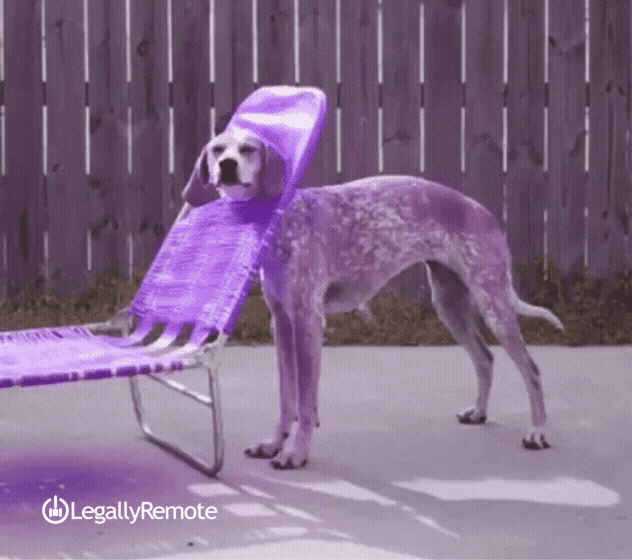 AI Hallucination - What it is and why it can be troublesome when planning your estate