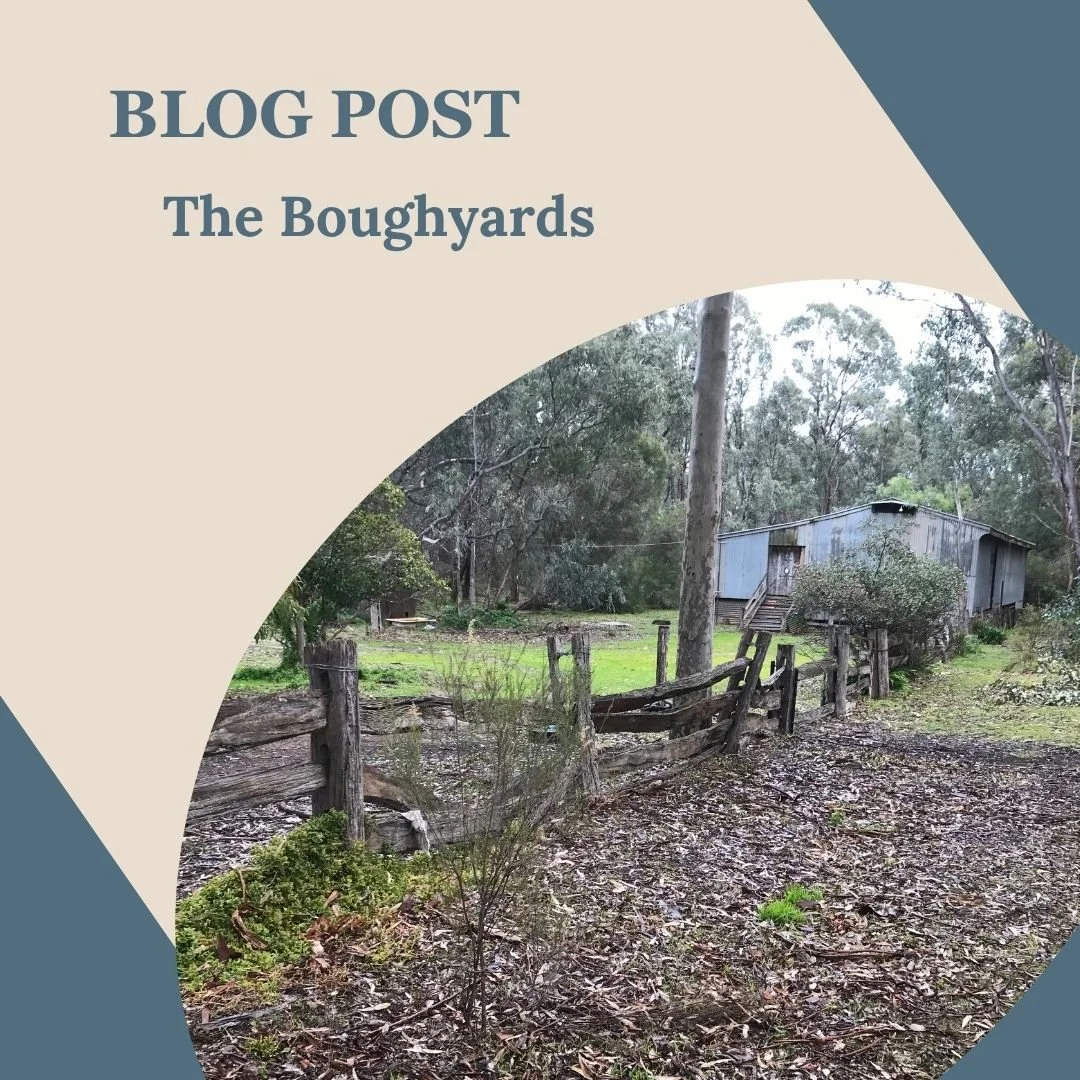 My current work in progress is called The Boughyards. My latest blog post tells why. Read it on my website paulinewilson.com.au/blog