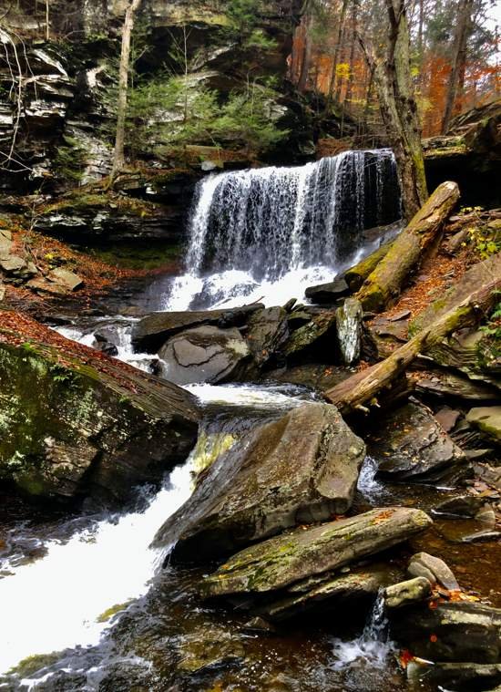 Forest waterfall framed by layered rock and moss-covered fallen wood