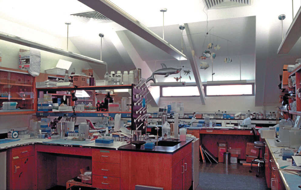 Molecular Systematics Laboratory