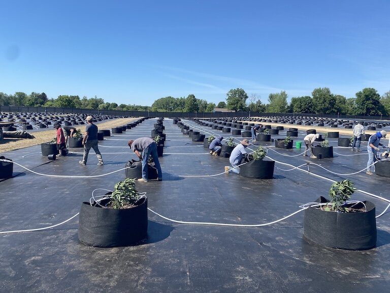 Grasshopper Farms 10.jpeg