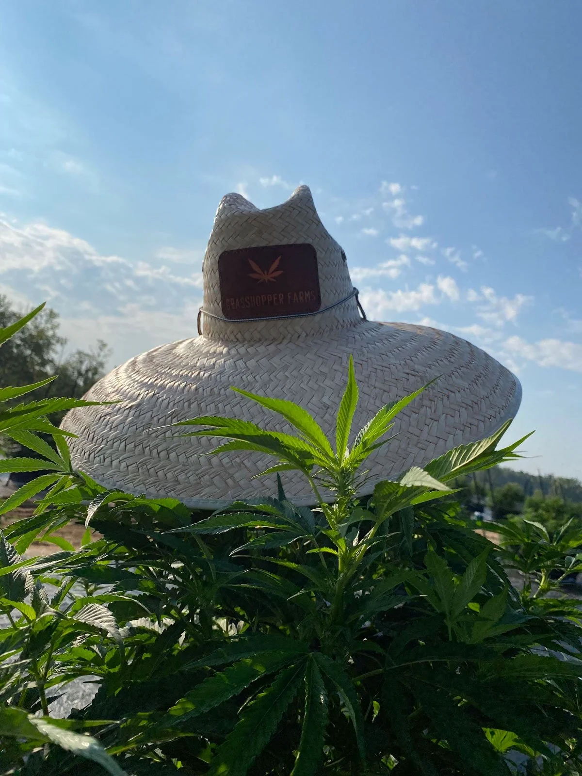 Grasshopper+Farms+12-sm.jpg