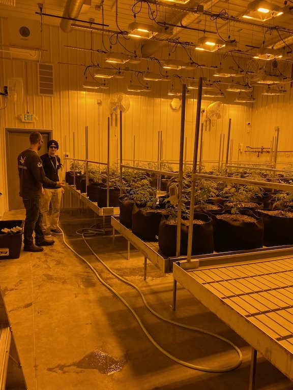 Grasshopper Farms 14.JPEG