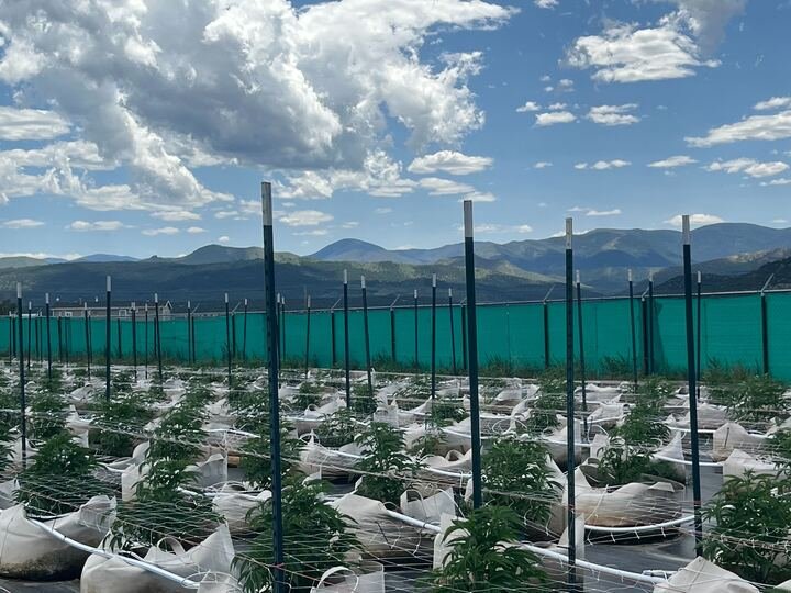 Grasshopper Farms 3.jpg