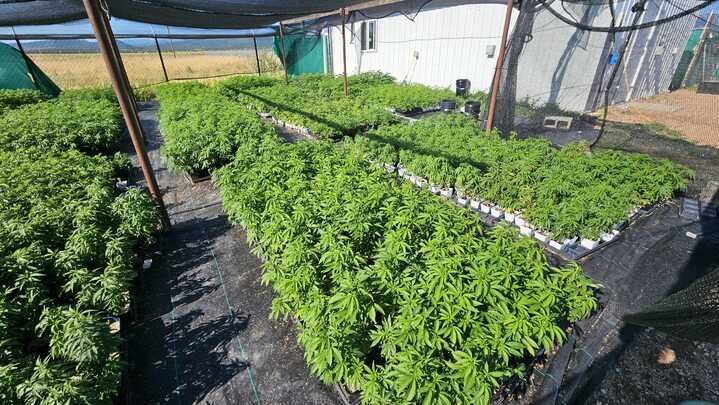 Grasshopper Farms 7.jpg
