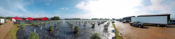 Grasshopper Farms 26a.jpg
