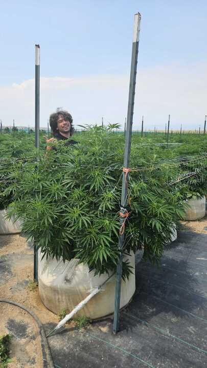 Grasshopper Farms 6.jpg