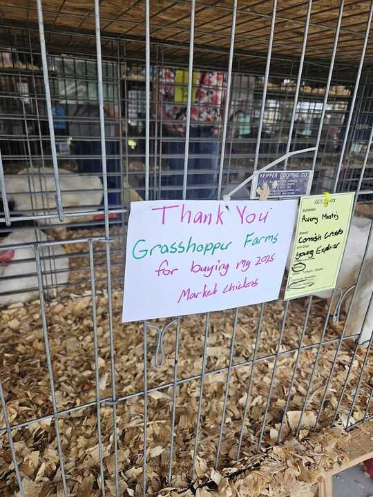 Grasshopper Farms 26.jpg