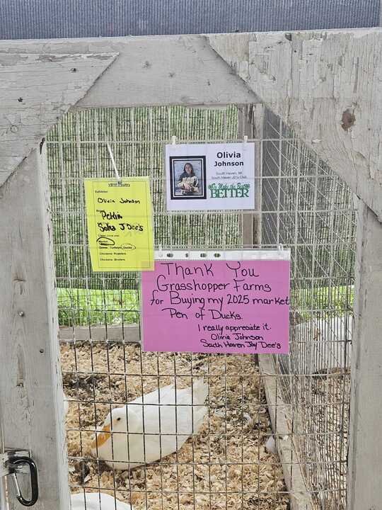 Grasshopper Farms 27.jpg