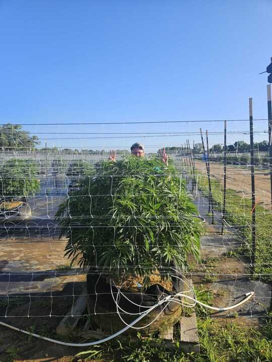 Grasshopper Farms 28.jpg
