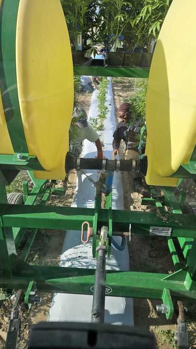 Grasshopper Farms 21.jpg