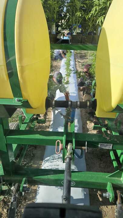 Grasshopper Farms 23.jpg
