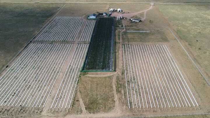 Grasshopper Farms 26.jpg