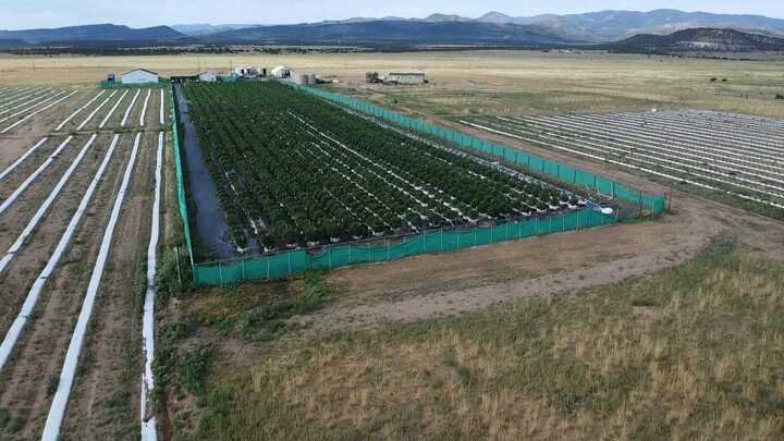 Grasshopper Farms 27.jpg