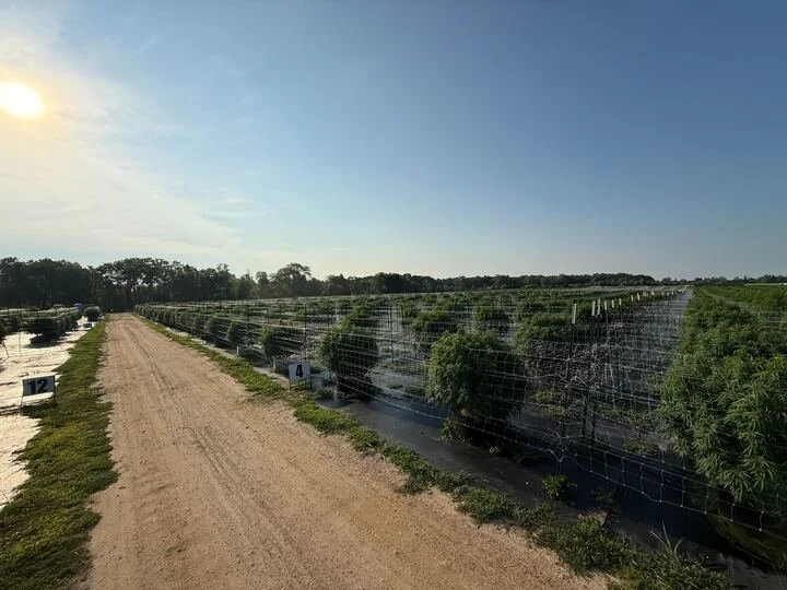 Grasshopper Farms 18.jpg