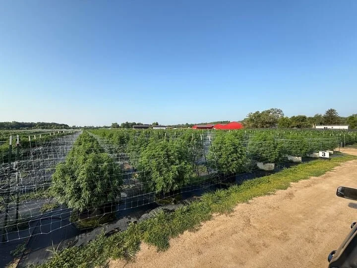 Grasshopper Farms 19.jpg