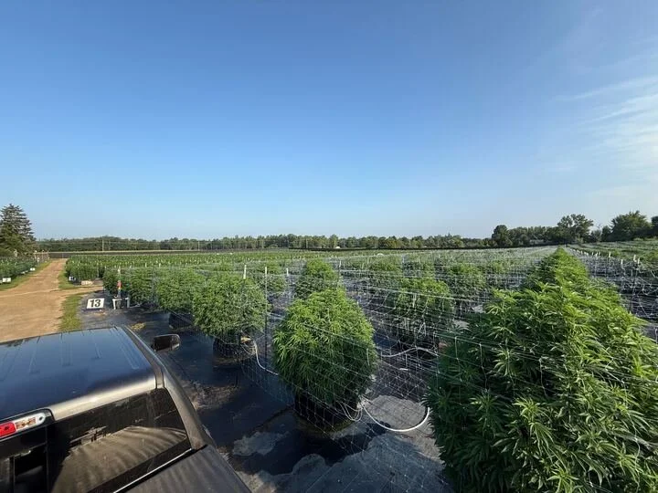 Grasshopper Farms 20.jpg