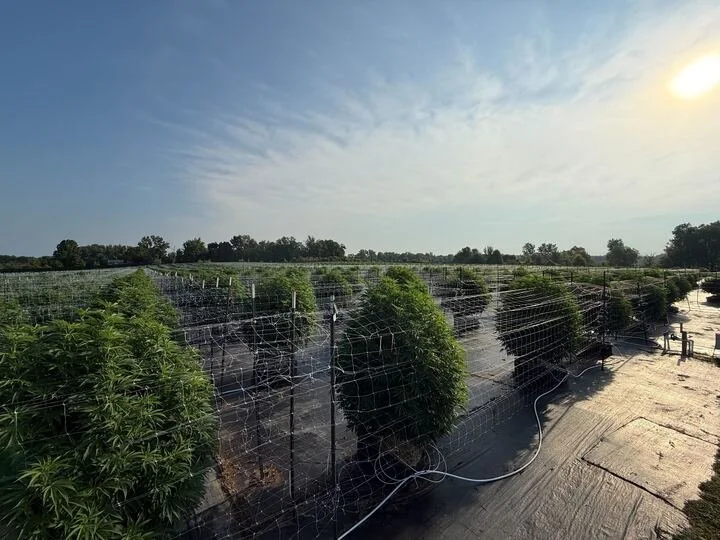Grasshopper Farms 21.jpg
