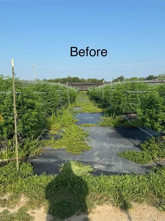 Grasshopper Farms 22.jpg