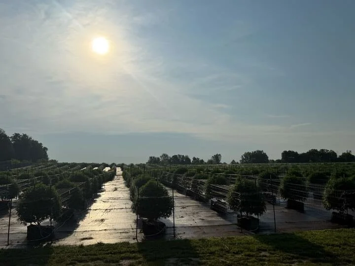 Grasshopper Farms 26.jpg