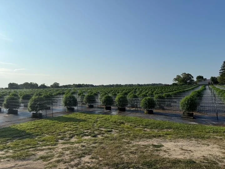 Grasshopper Farms 27.jpg