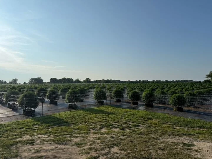 Grasshopper Farms 28.jpg