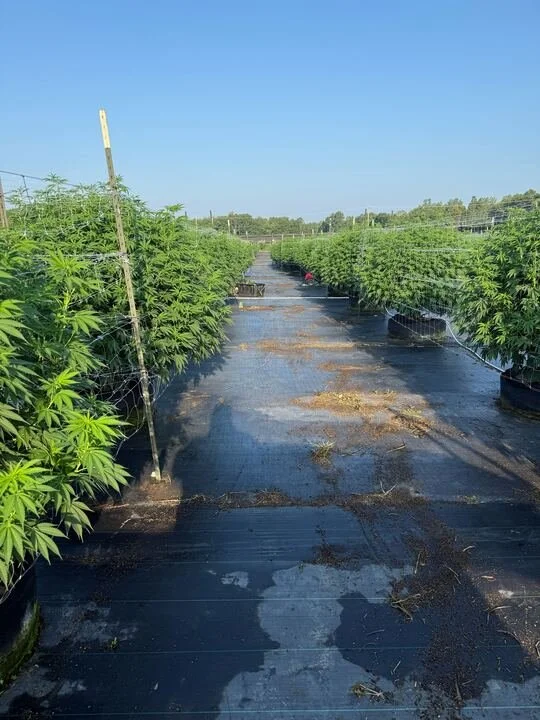 Grasshopper Farms 30.jpg
