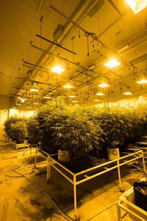Grasshopper Farms 12.jpg