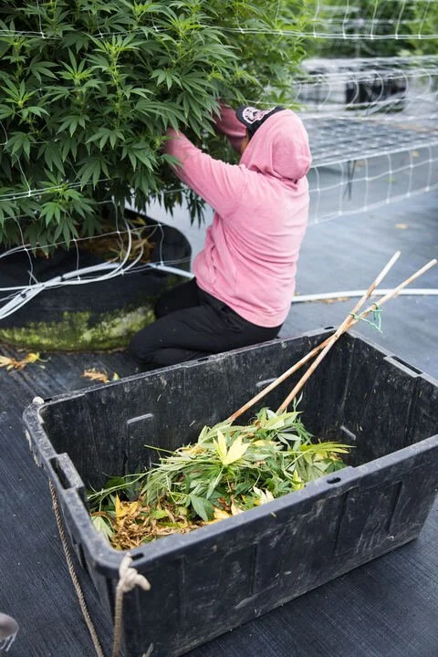 Grasshopper Farms 13.jpg