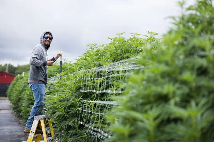 Grasshopper Farms 15.jpg