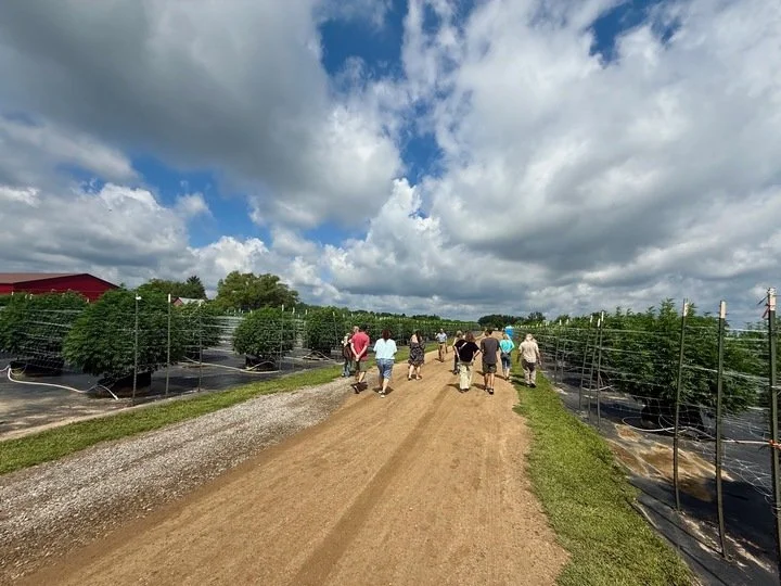 Grasshopper Farms 7.jpg