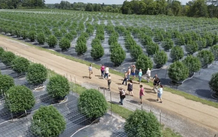 Grasshopper Farms 16.jpg