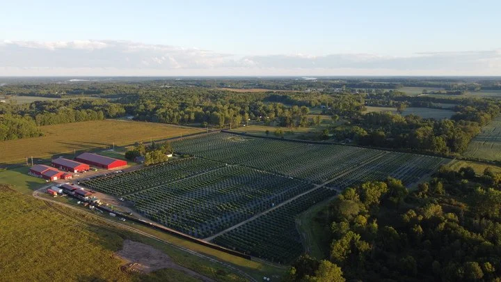 Grasshopper Farms 28.jpg