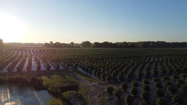 Grasshopper Farms 29.jpg