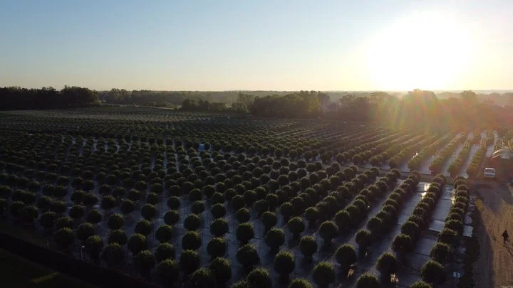 Grasshopper Farms 30.jpg