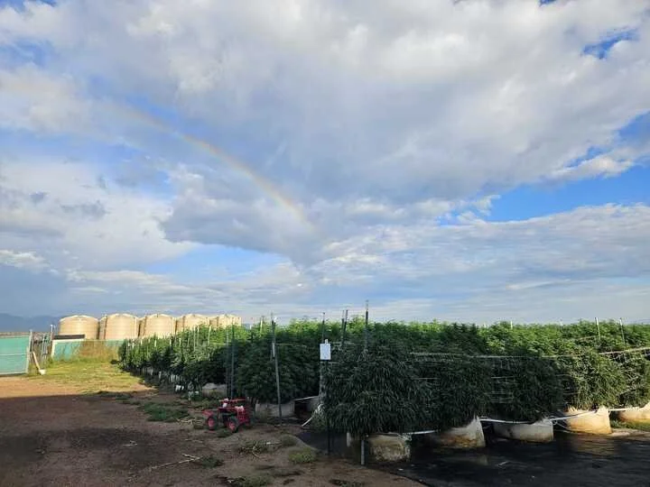 Grasshopper Farms 31.jpg