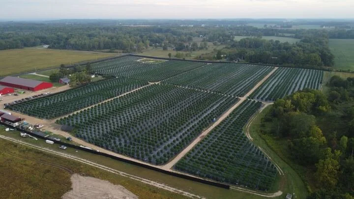 Grasshopper Farms 19.jpg