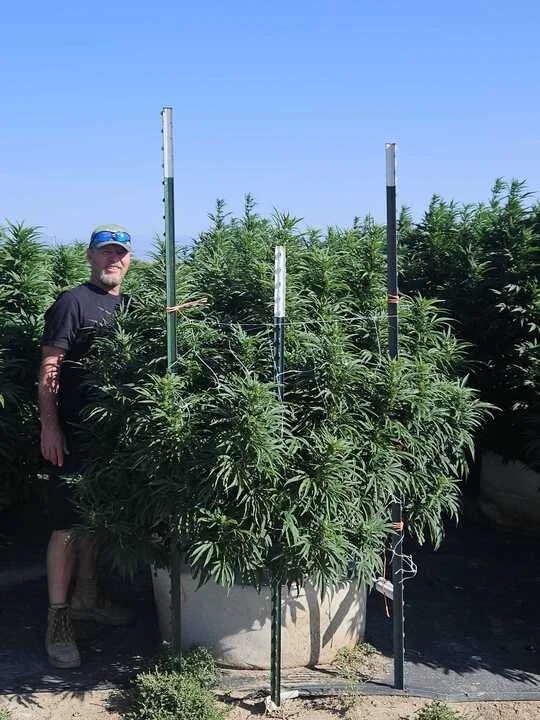 Grasshopper Farms 21.jpg