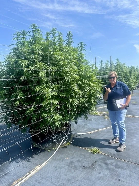 Grasshoppper Farms 30.jpg