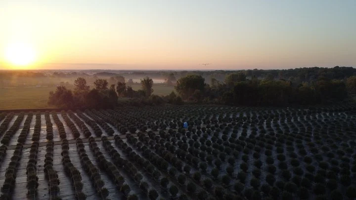 Grasshoppper Farms 32.jpg